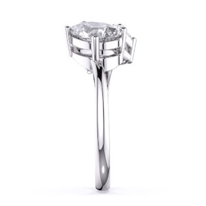 טבעת הפכים נמשכים