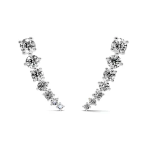 עגילים מטפסים כסף 925 תמונת מוצר